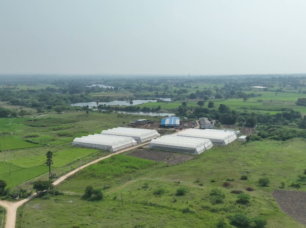 Modern dairy farm facilities at Krsna farm in Hyderabad